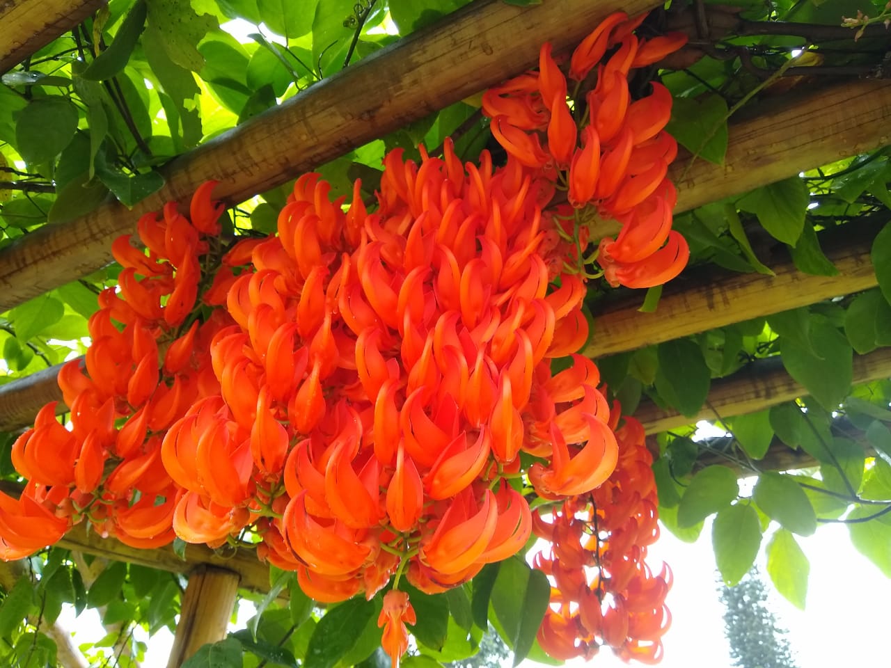 Image 2021-02-23 at 23.16.53